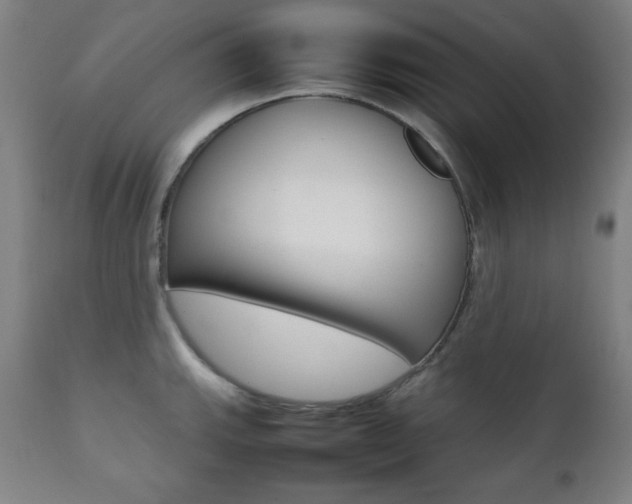 X0000112091143200908041042