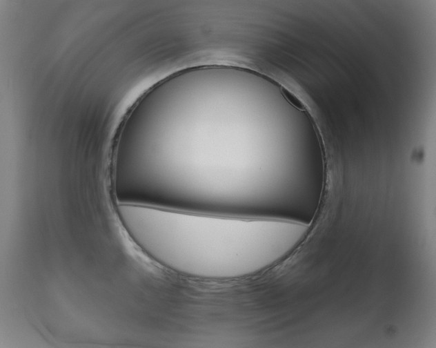 X0000112091144200908041042