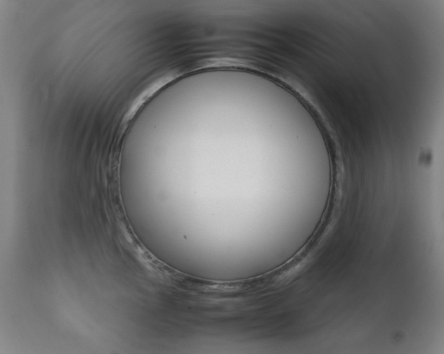 X0000112091145200908041042