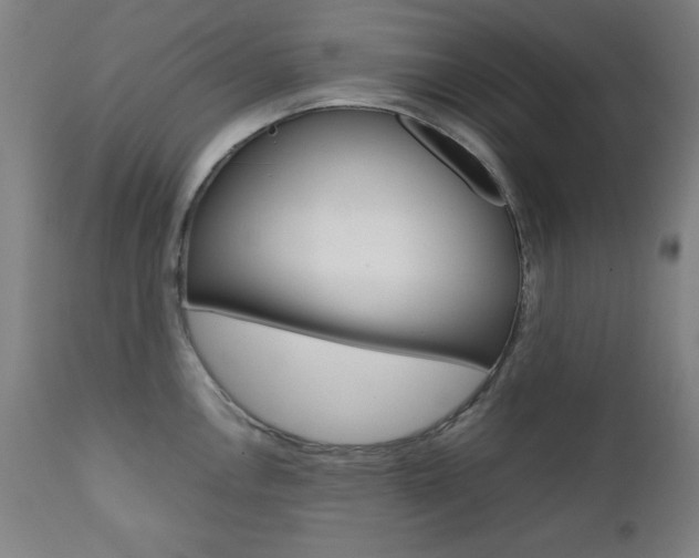 X0000112091146200908041042