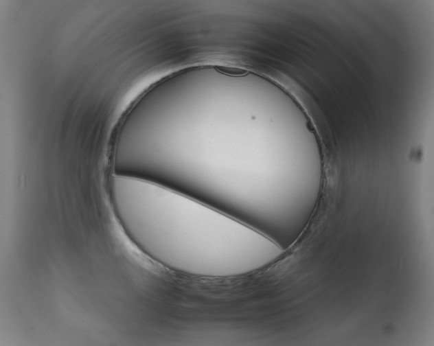 X0000112091147200908041042