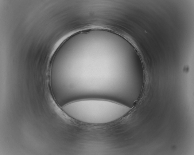 X0000112091148200908041042
