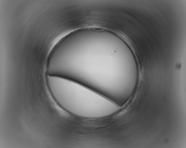 X0000112091149200908041042