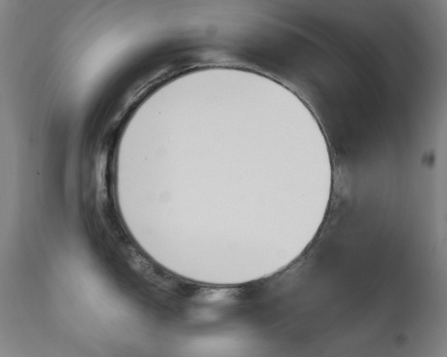 X0000112091150200908041042