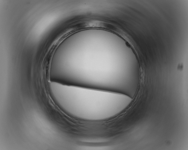 X0000112091151200908041042