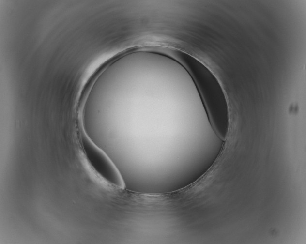 X0000112091152200908041042