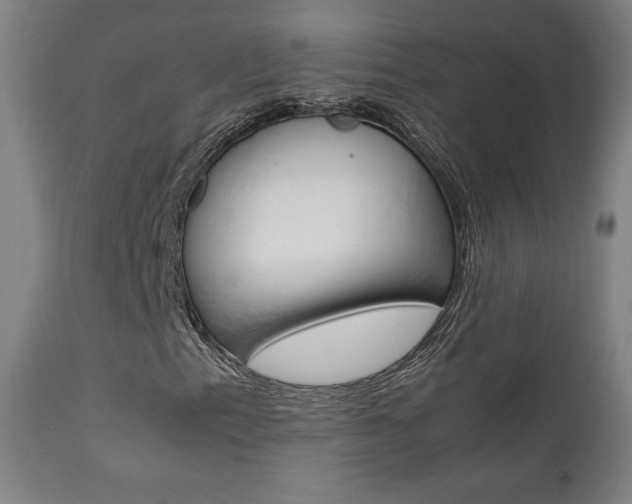 X0000112091153200908041041