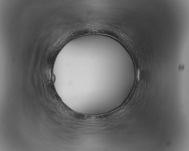 X0000112091155200908041041