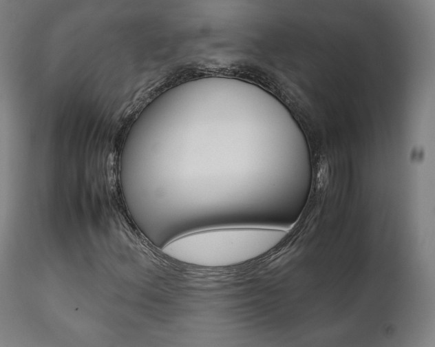 X0000112091156200908041041