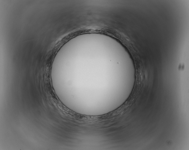 X0000112091158200908041041