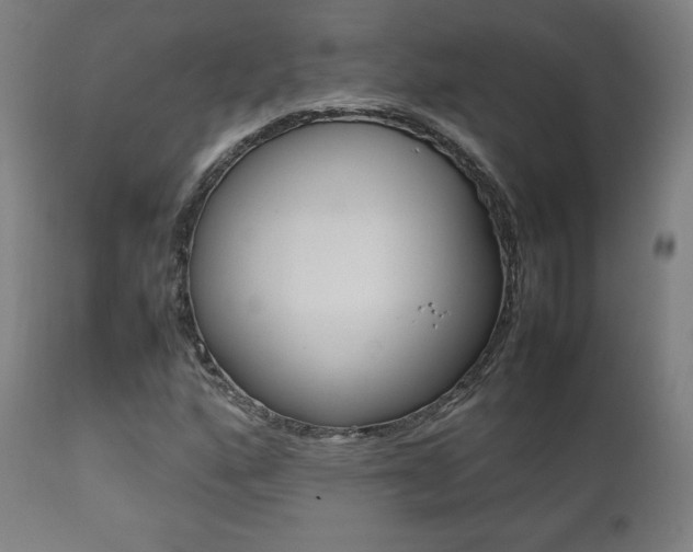 X0000112091160200908041041