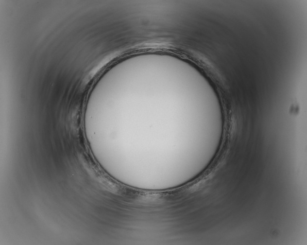 X0000112091162200908041041