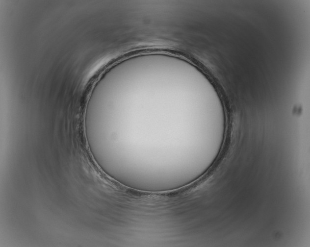 X0000112091163200908041041