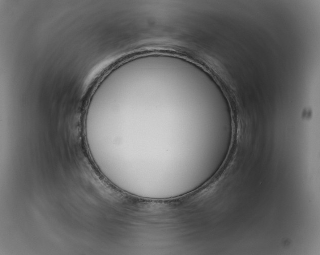 X0000112091164200908041041