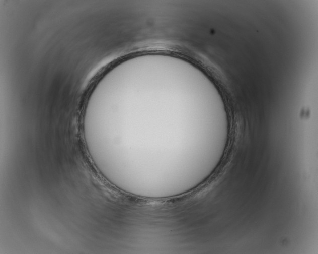 X0000112091166200908041041