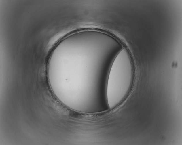 X0000112091167200908041041
