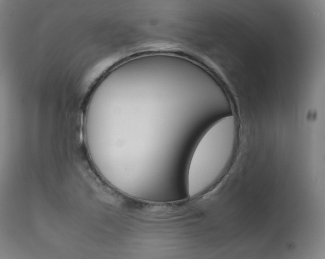 X0000112091171200908041041
