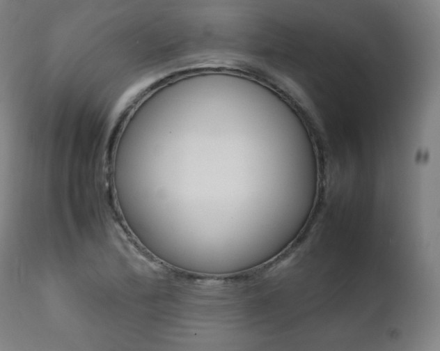 X0000112091172200908041041