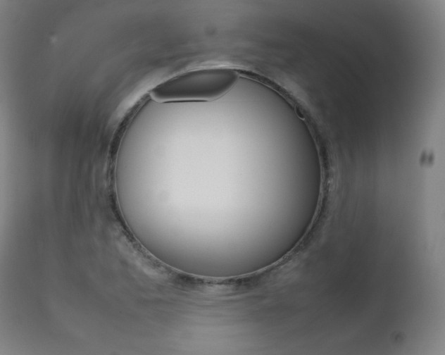 X0000112091173200908041041