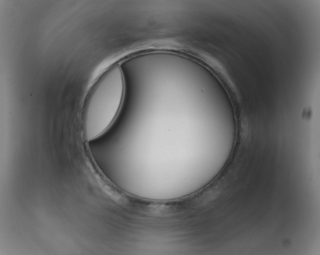 X0000112091176200908041041