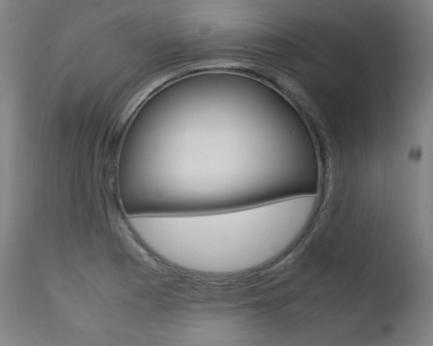X0000112091177200908041041