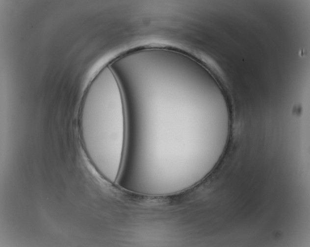 X0000112091183200908041041