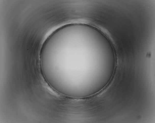 X0000112091184200908041041