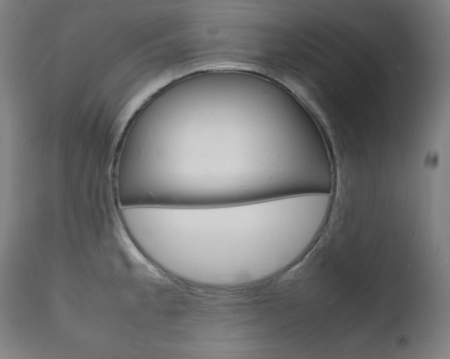 X0000112091189200908041041