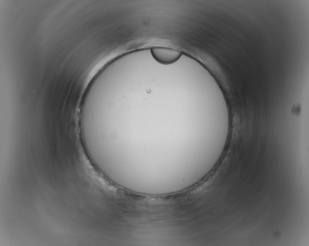 X0000112091190200908041041