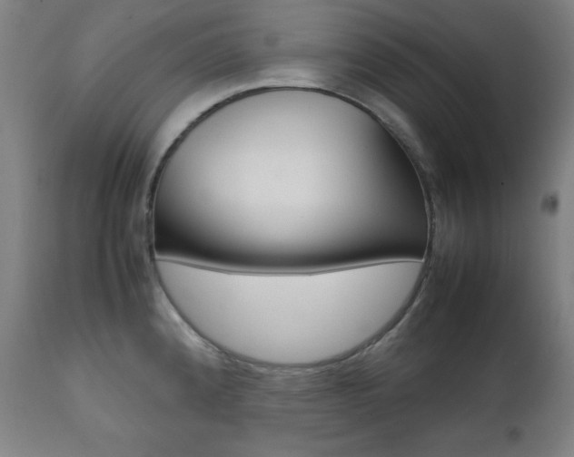 X0000112091192200908041041