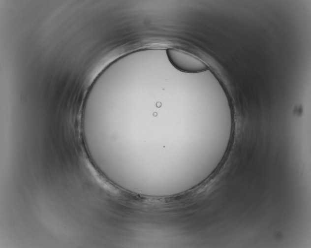X0000112091194200908041040