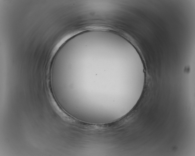 X0000112091195200908041040