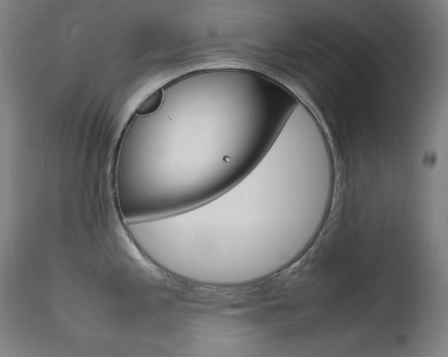 X0000112091197200908041040