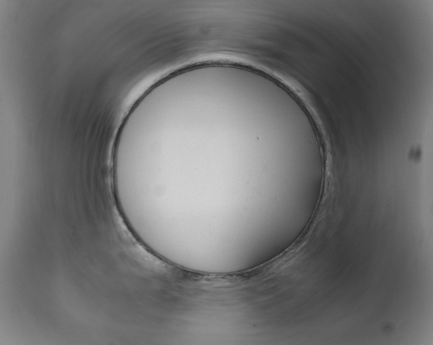 X0000112091199200908041040
