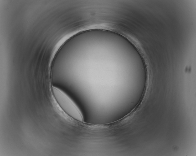 X0000112091200200908041040