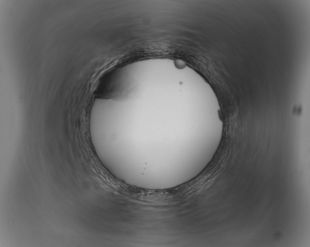X0000112091201200908041040