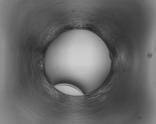 X0000112091202200908041040