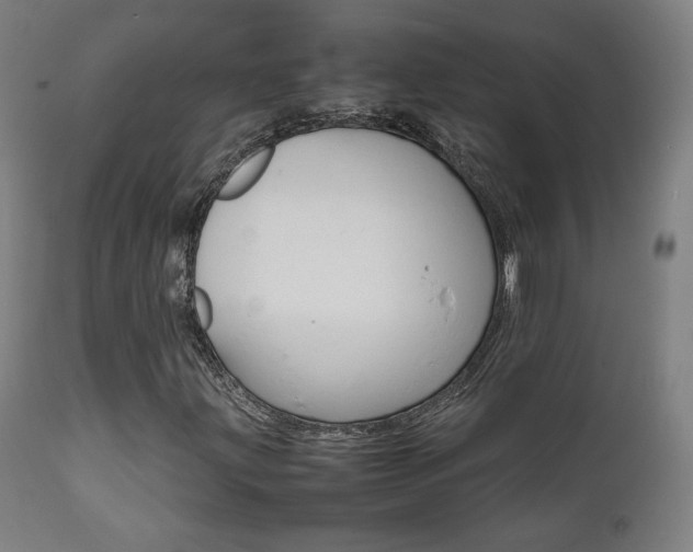 X0000112091203200908041040
