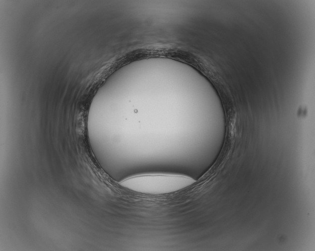 X0000112091204200908041040