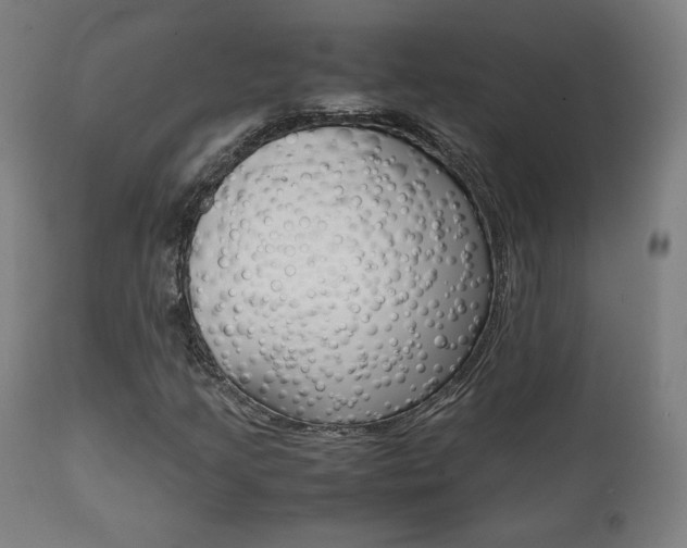 X0000112091205200908041040
