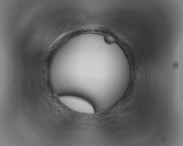 X0000112091206200908041040