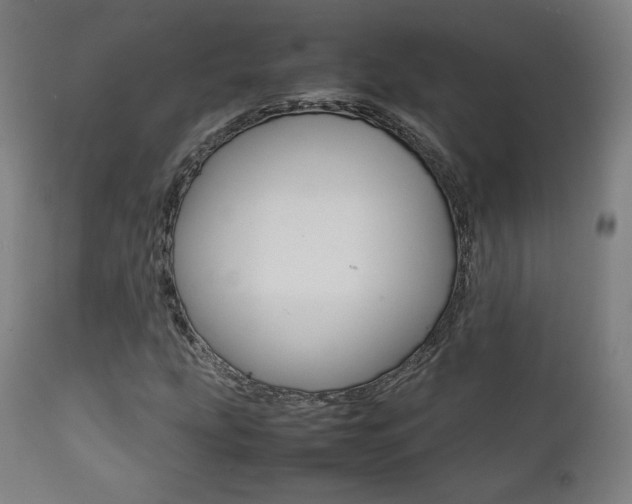 X0000112091207200908041040