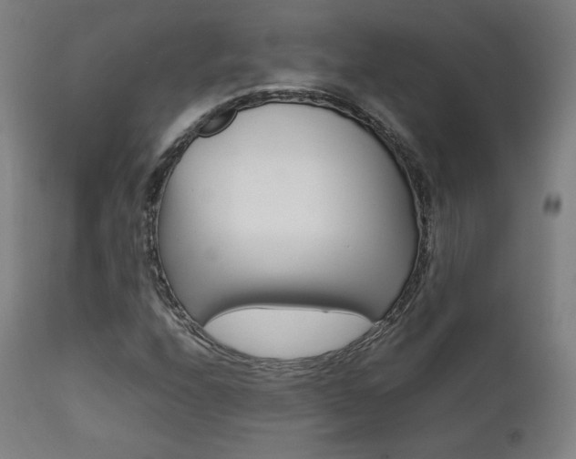 X0000112091208200908041040