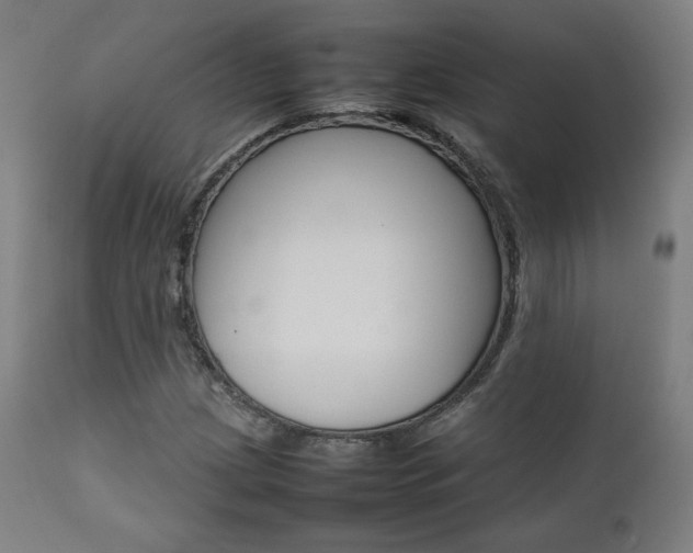 X0000112091209200908041040
