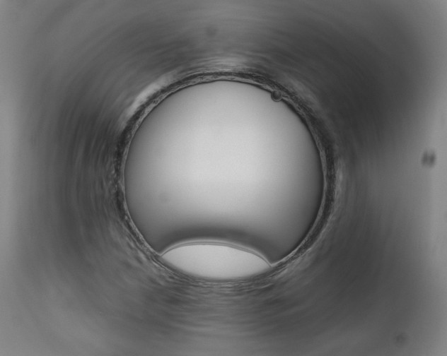 X0000112091210200908041040