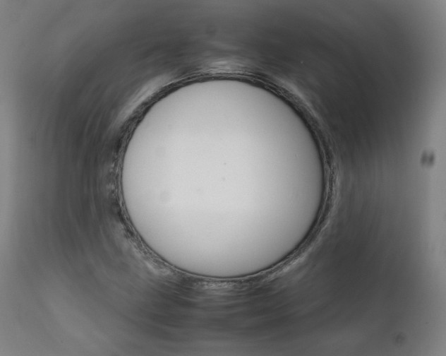 X0000112091211200908041040