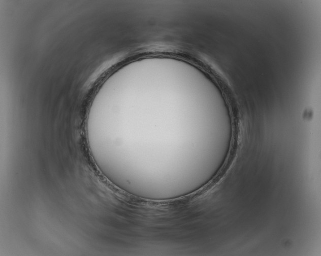 X0000112091213200908041040