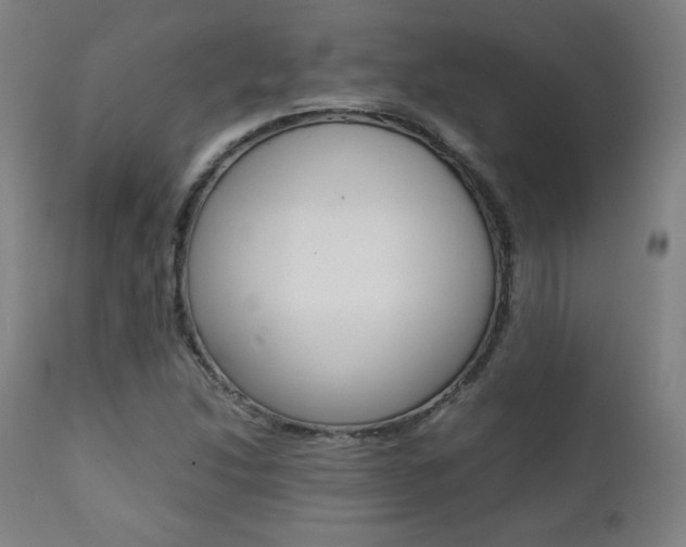 X0000112091214200908041040