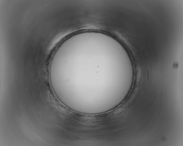 X0000112091215200908041040