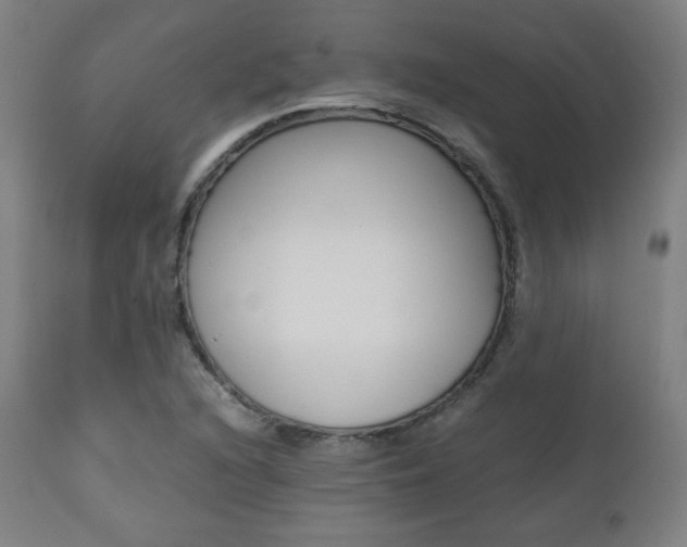 X0000112091216200908041040
